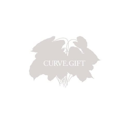 Curve Gift F Cover